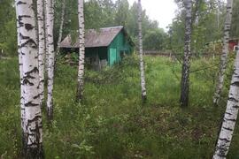 Участок 10 соток в д. Высоково