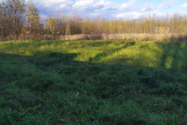 Участок 12 соток в д. Любучаны